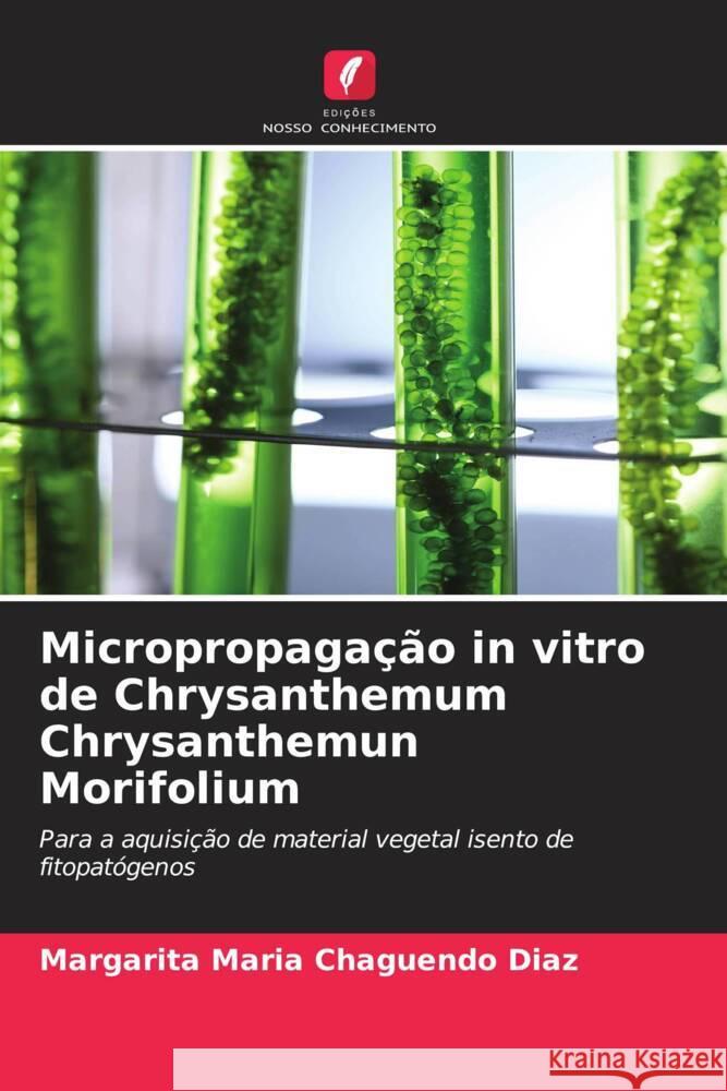 Micropropagação in vitro de Chrysanthemum Chrysanthemun Morifolium Chaguendo Diaz, Margarita Maria 9786207100149