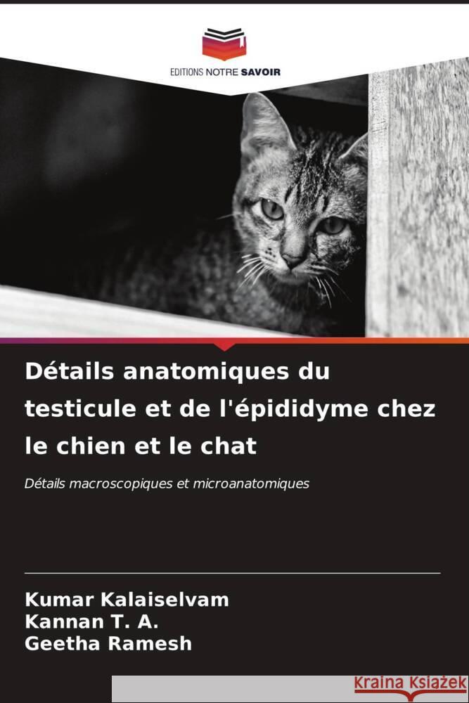 Détails anatomiques du testicule et de l'épididyme chez le chien et le chat KALAISELVAM, KUMAR, T. A., Kannan, Ramesh, Geetha 9786207106547