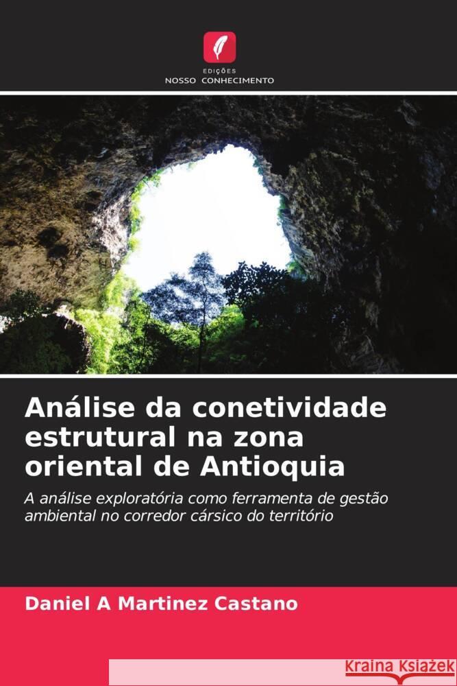 Análise da conetividade estrutural na zona oriental de Antioquia Martinez Castano, Daniel A 9786207120352 Edições Nosso Conhecimento