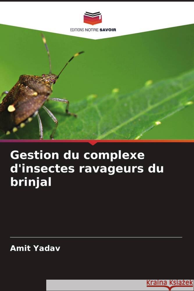 Gestion du complexe d'insectes ravageurs du brinjal Amit Yadav 9786207139064 Editions Notre Savoir