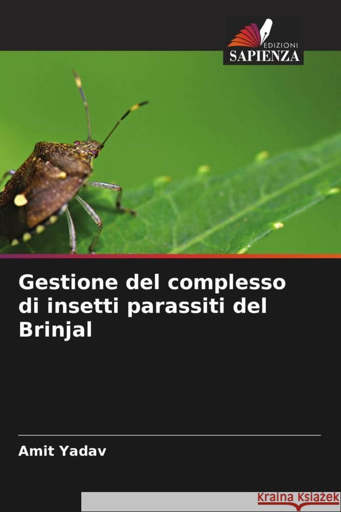 Gestione del complesso di insetti parassiti del Brinjal Amit Yadav 9786207139071 Edizioni Sapienza