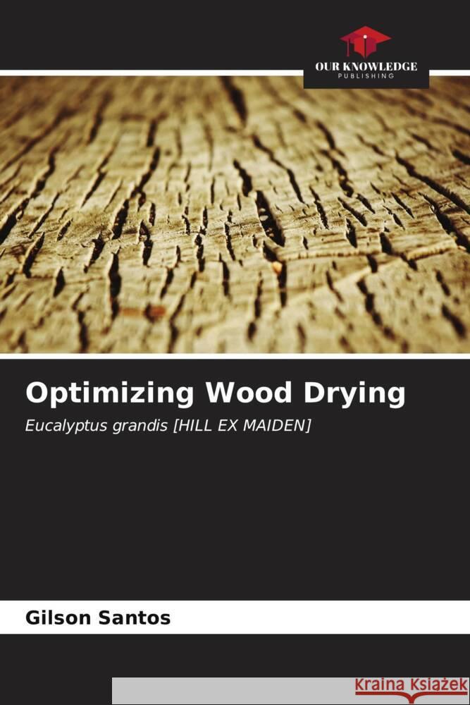 Optimizing Wood Drying Gilson Santos 9786207172931