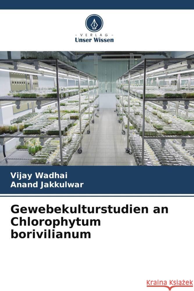 Gewebekulturstudien an Chlorophytum borivilianum Vijay Wadhai Anand Jakkulwar 9786207177622