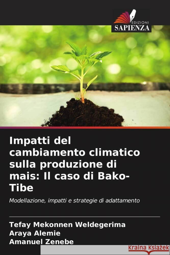 Impatti del cambiamento climatico sulla produzione di mais: Il caso di Bako-Tibe Tefay Mekonnen Weldegerima Araya Alemie Amanuel Zenebe 9786207181612