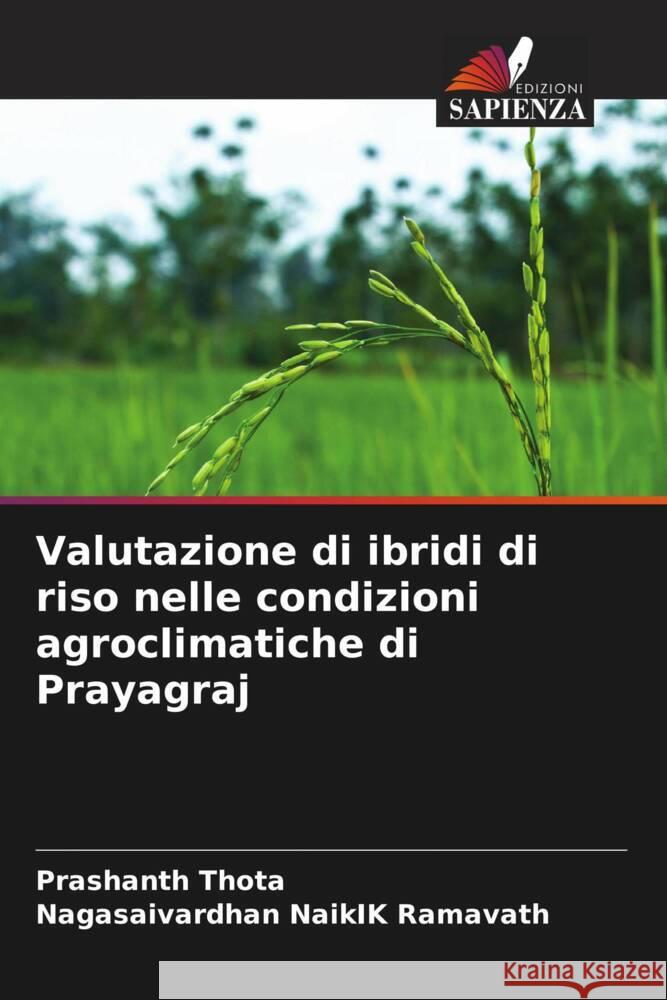 Valutazione di ibridi di riso nelle condizioni agroclimatiche di Prayagraj Prashanth Thota Nagasaivardhan Naikik Ramavath 9786207186945