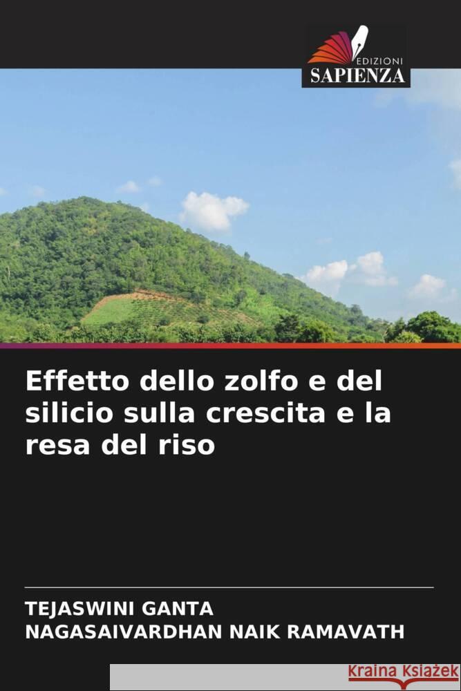 Effetto dello zolfo e del silicio sulla crescita e la resa del riso Tejaswini Ganta Nagasaivardhan Naik Ramavath 9786207187003 Edizioni Sapienza