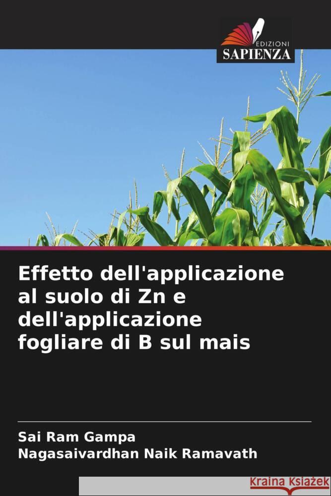 Effetto dell'applicazione al suolo di Zn e dell'applicazione fogliare di B sul mais Sai Ram Gampa Nagasaivardhan Naik Ramavath 9786207187065 Edizioni Sapienza