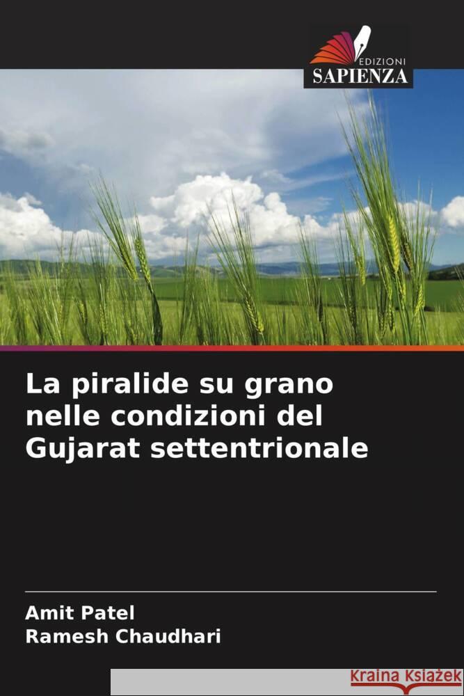 La piralide su grano nelle condizioni del Gujarat settentrionale Amit Patel Ramesh Chaudhari 9786207194001