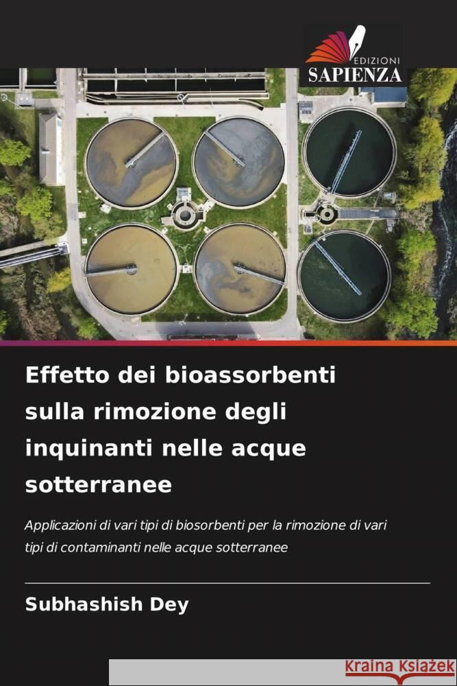 Effetto dei bioassorbenti sulla rimozione degli inquinanti nelle acque sotterranee Subhashish Dey 9786207213603 Edizioni Sapienza