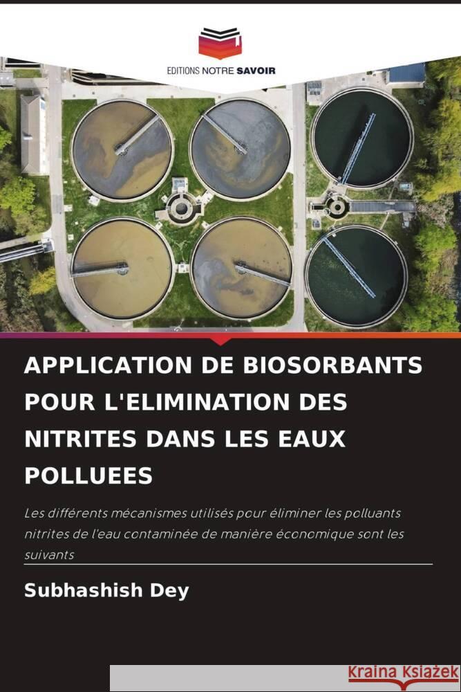 Application de Biosorbants Pour l'Elimination Des Nitrites Dans Les Eaux Polluees Subhashish Dey 9786207217212 Editions Notre Savoir