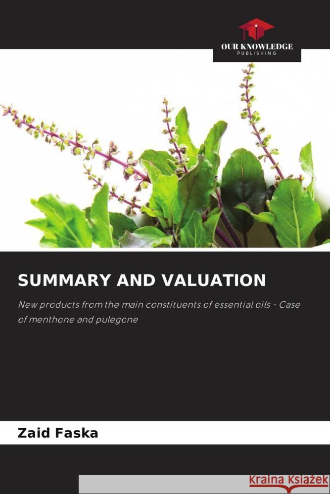 Summary and Valuation Zaid Faska 9786207232475 Our Knowledge Publishing