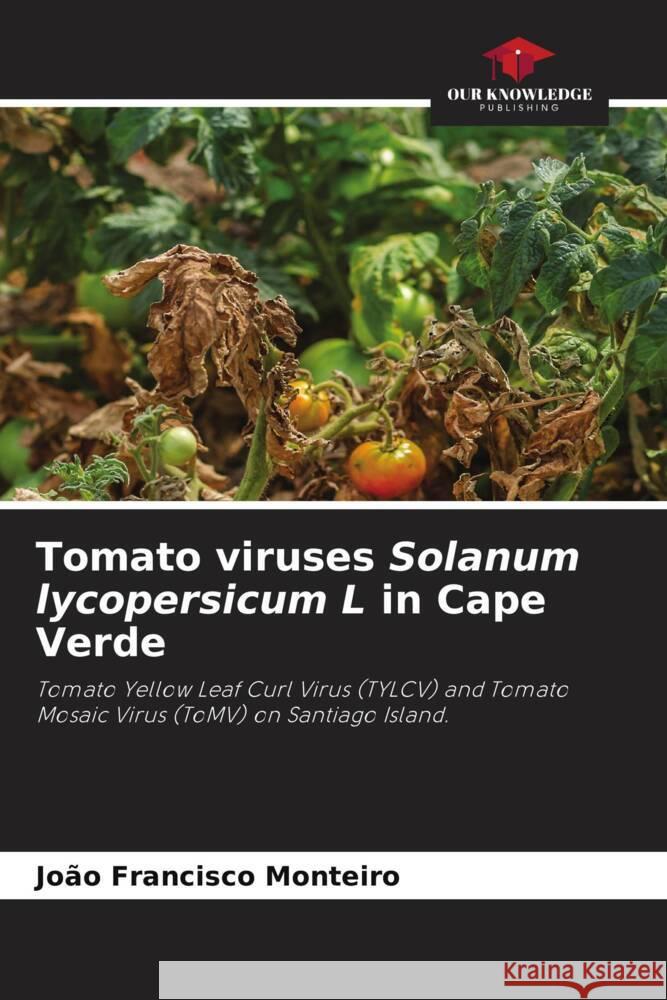 Tomato viruses Solanum lycopersicum L in Cape Verde Jo?o Francisco Monteiro 9786207250271