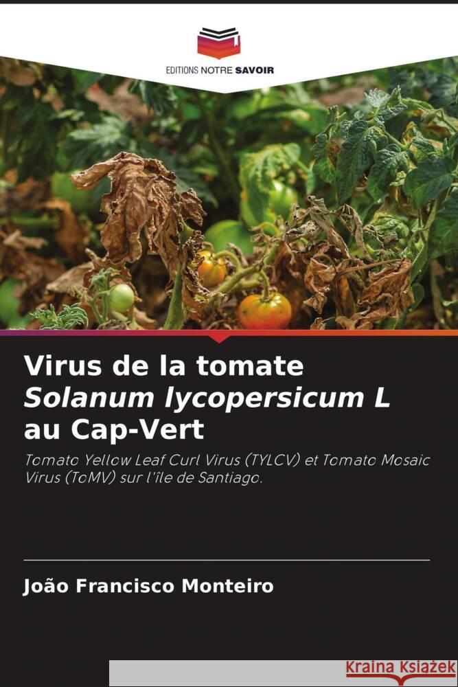 Virus de la tomate Solanum lycopersicum L au Cap-Vert Jo?o Francisco Monteiro 9786207250295 Editions Notre Savoir