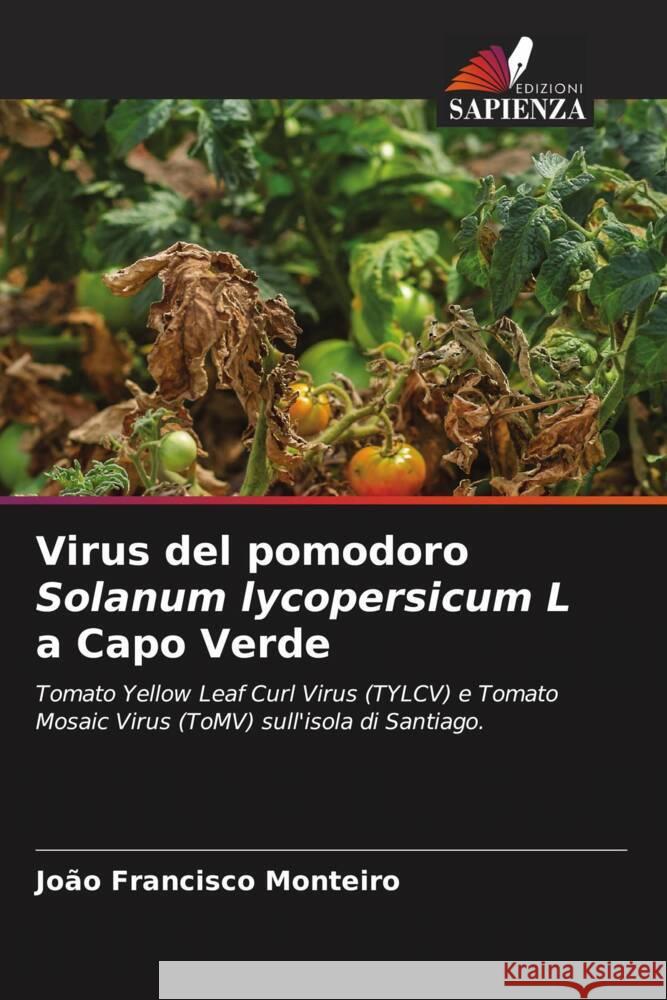 Virus del pomodoro Solanum lycopersicum L a Capo Verde Jo?o Francisco Monteiro 9786207250325 Edizioni Sapienza