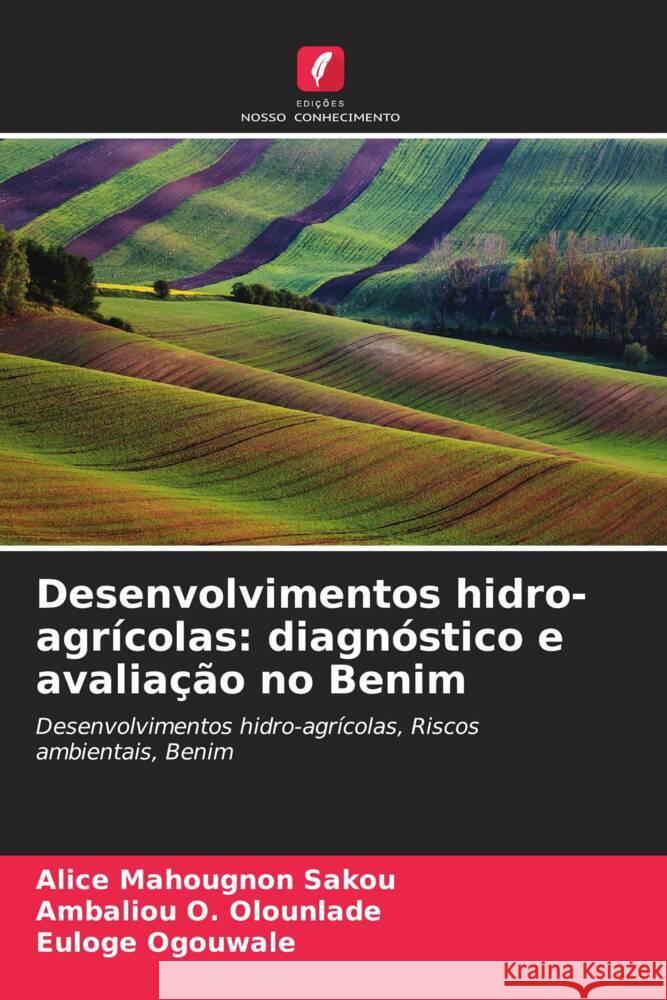 Desenvolvimentos hidro-agr?colas: diagn?stico e avalia??o no Benim Alice Mahougnon Sakou Ambaliou O. Olounlade Euloge Ogouwal? 9786207251414 Edicoes Nosso Conhecimento