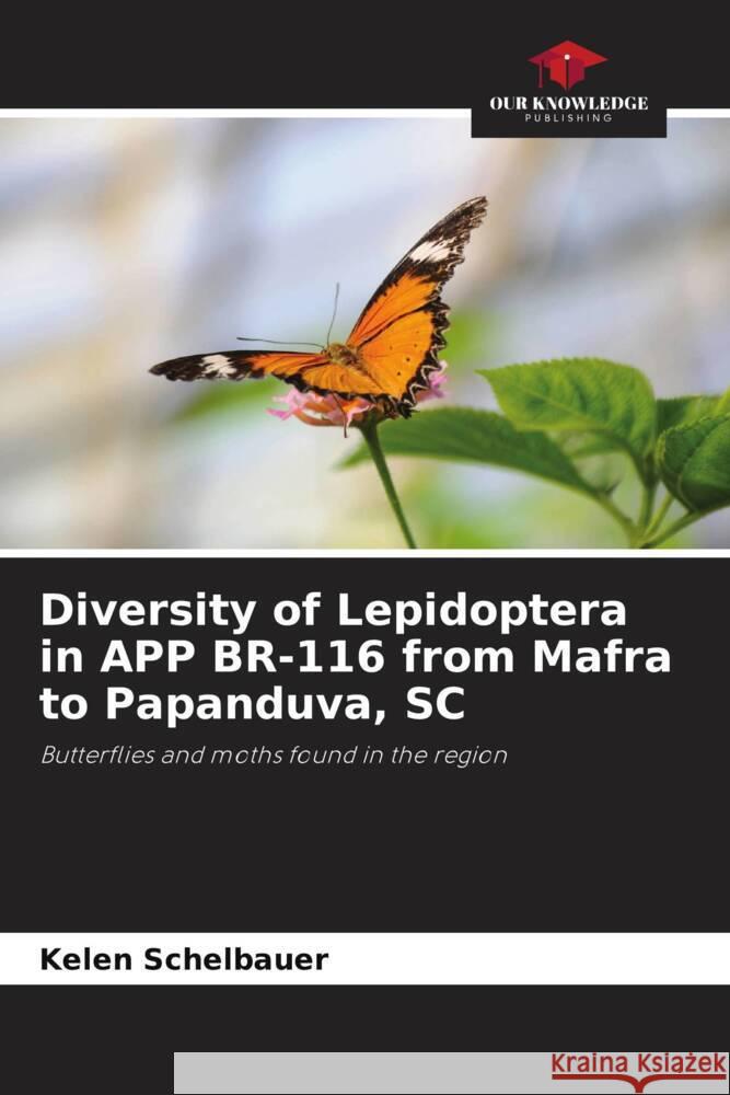 Diversity of Lepidoptera in APP BR-116 from Mafra to Papanduva, SC Kelen Schelbauer 9786207279210