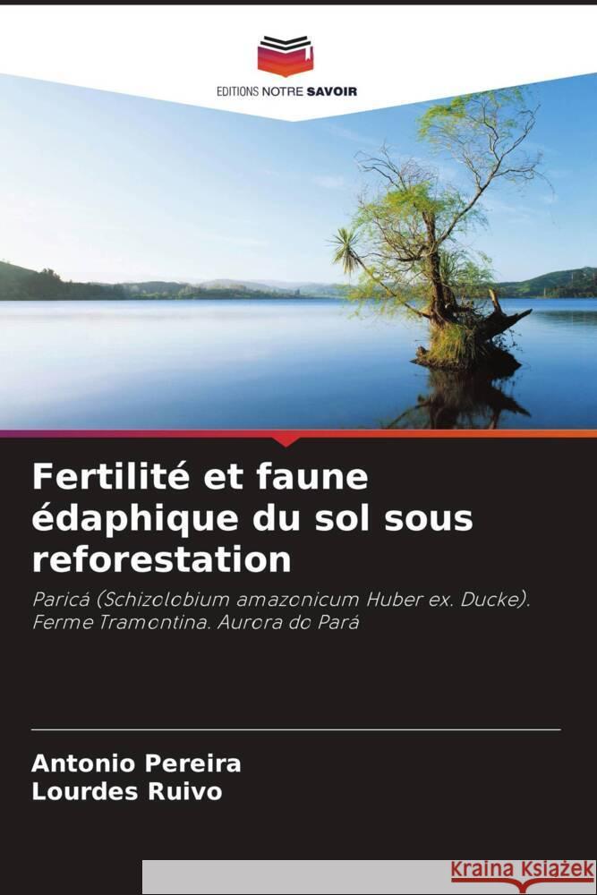 Fertilit? et faune ?daphique du sol sous reforestation Antonio Pereira Lourdes Ruivo 9786207295814