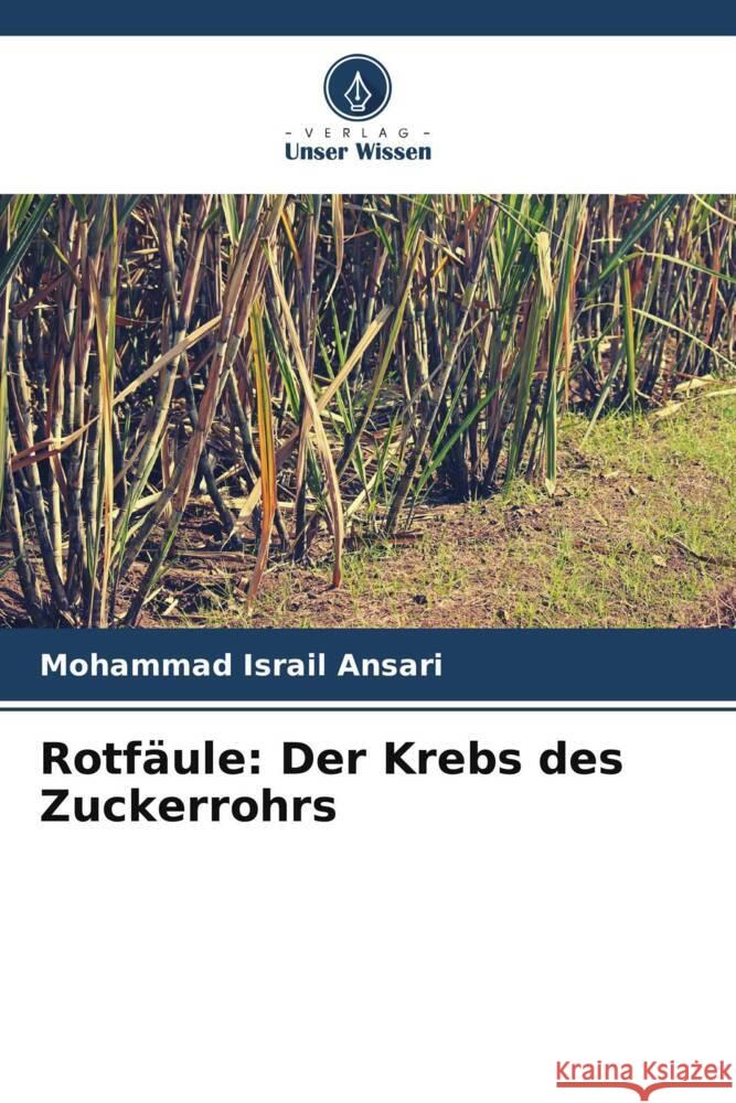 Rotf?ule: Der Krebs des Zuckerrohrs Mohammad Israil Ansari 9786207335718