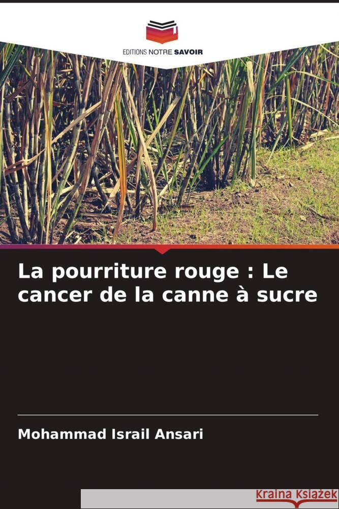 La pourriture rouge: Le cancer de la canne ? sucre Mohammad Israil Ansari 9786207335756
