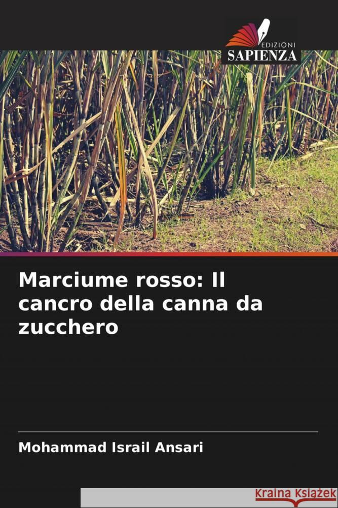 Marciume rosso: Il cancro della canna da zucchero Mohammad Israil Ansari 9786207335763