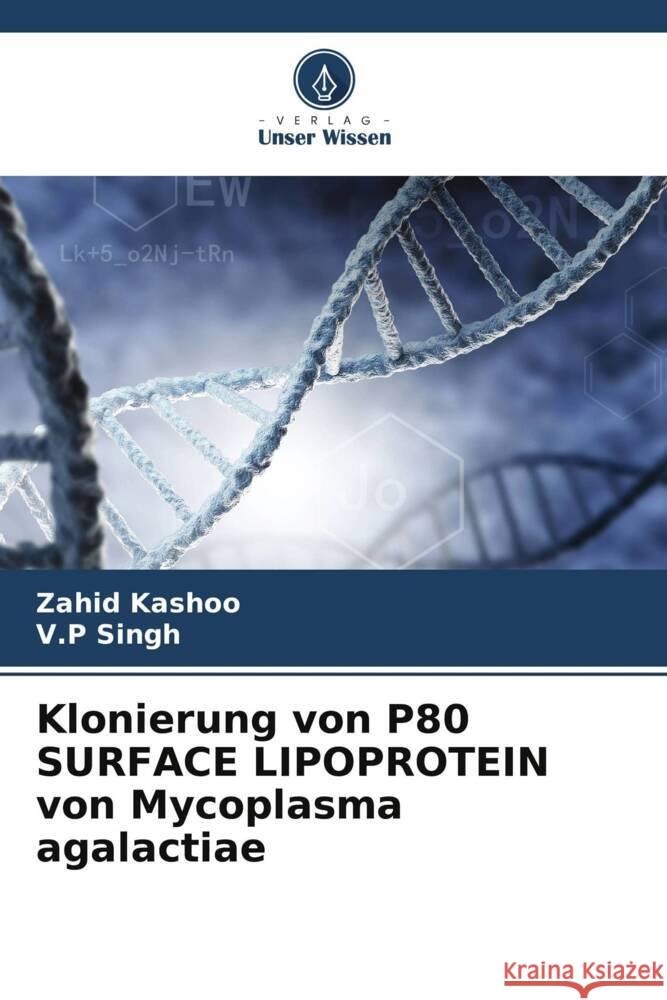 Klonierung von P80 SURFACE LIPOPROTEIN von Mycoplasma agalactiae Zahid Kashoo V. P. Singh 9786207337460 Verlag Unser Wissen