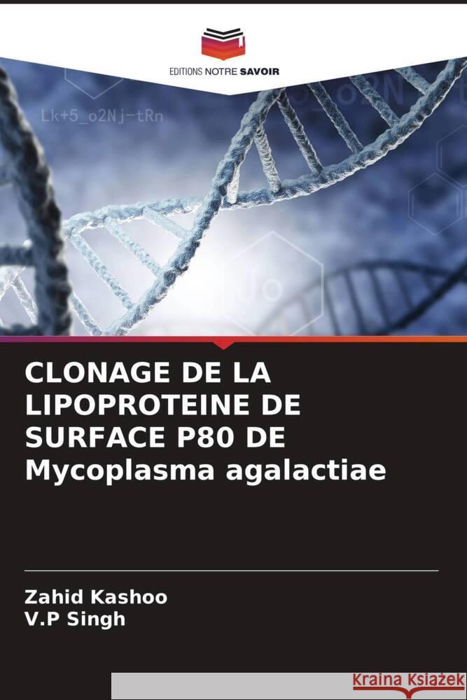 CLONAGE DE LA LIPOPROTEINE DE SURFACE P80 DE Mycoplasma agalactiae Zahid Kashoo V. P. Singh 9786207337521 Editions Notre Savoir