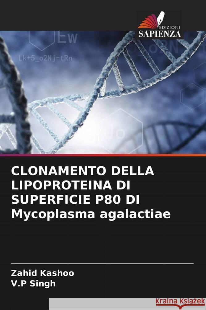 CLONAMENTO DELLA LIPOPROTEINA DI SUPERFICIE P80 DI Mycoplasma agalactiae Zahid Kashoo V. P. Singh 9786207337545 Edizioni Sapienza