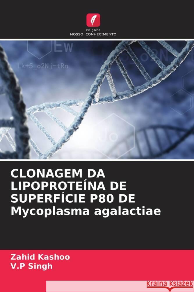 CLONAGEM DA LIPOPROTE?NA DE SUPERF?CIE P80 DE Mycoplasma agalactiae Zahid Kashoo V. P. Singh 9786207337552 Edicoes Nosso Conhecimento