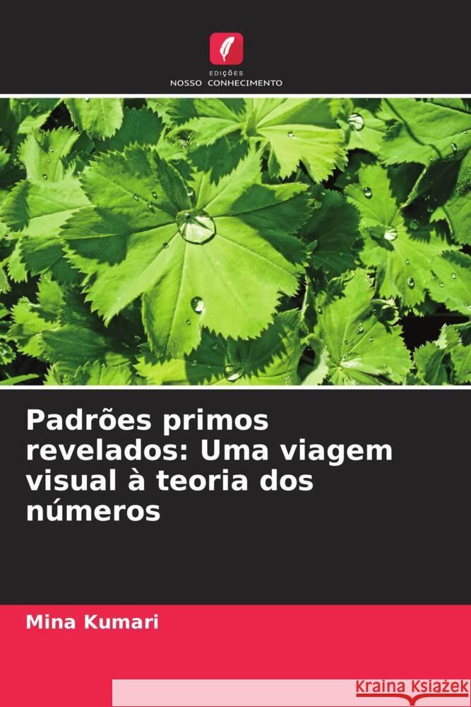 Padr?es primos revelados: Uma viagem visual ? teoria dos n?meros Mina Kumari 9786207391714 Edicoes Nosso Conhecimento