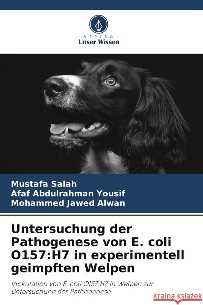 Untersuchung der Pathogenese von E. coli O157: H7 in experimentell geimpften Welpen Mustafa Salah Afaf Abdulrahman Yousif Mohammed Jawed Alwan 9786207403097