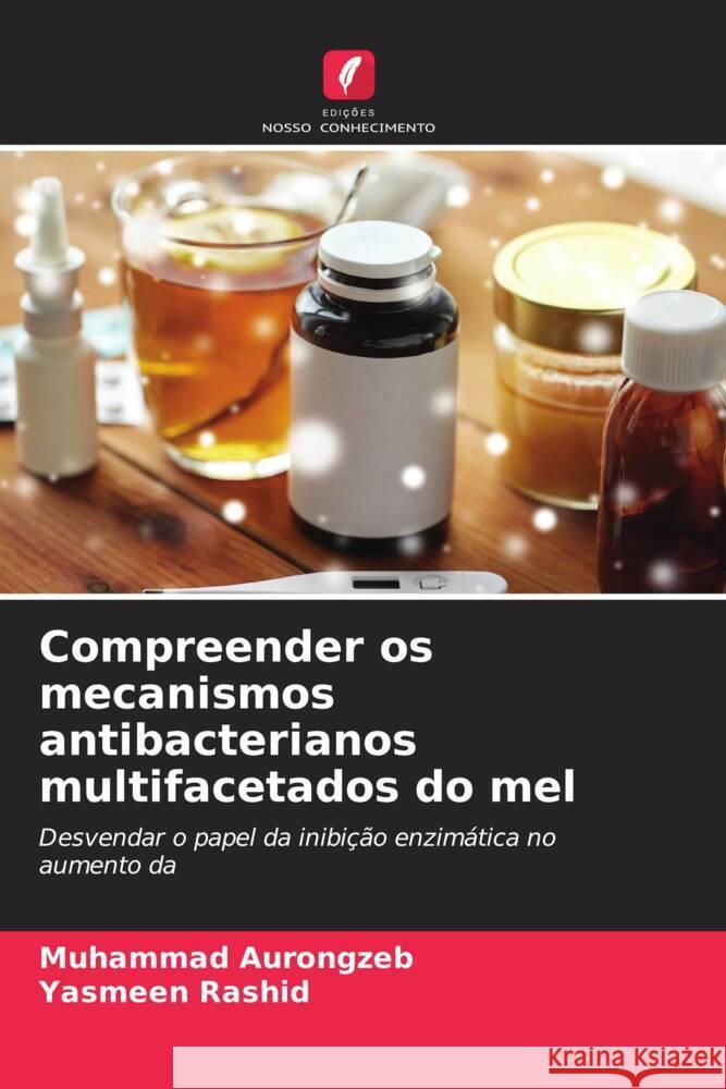 Compreender os mecanismos antibacterianos multifacetados do mel Muhammad Aurongzeb Yasmeen Rashid 9786207407965