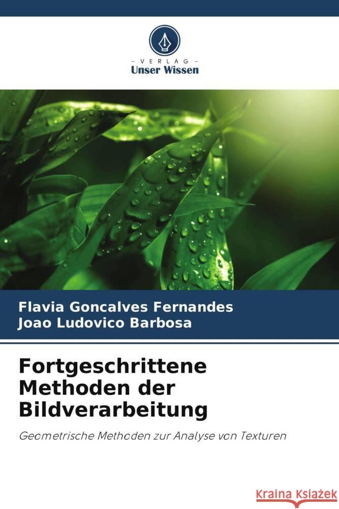 Fortgeschrittene Methoden der Bildverarbeitung Fl?via Gon?alves Fernandes Jo?o Ludovico Barbosa 9786207409013 Verlag Unser Wissen