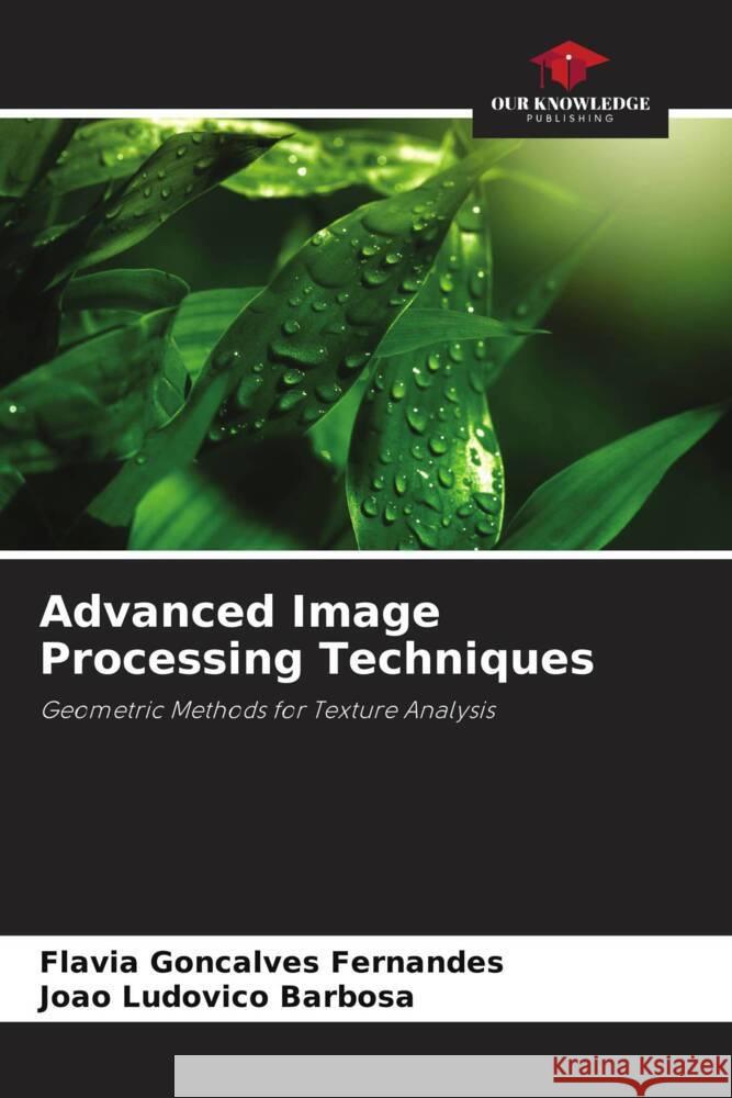 Advanced Image Processing Techniques Fl?via Gon?alves Fernandes Jo?o Ludovico Barbosa 9786207409020 Our Knowledge Publishing