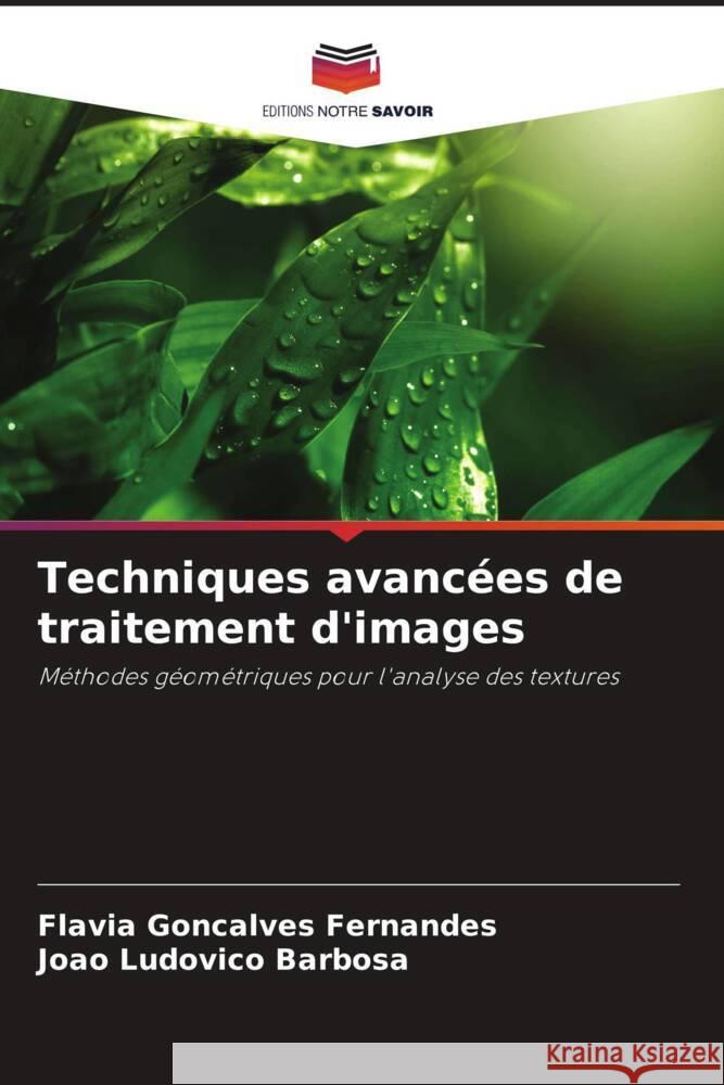 Techniques avanc?es de traitement d'images Fl?via Gon?alves Fernandes Jo?o Ludovico Barbosa 9786207409044 Editions Notre Savoir