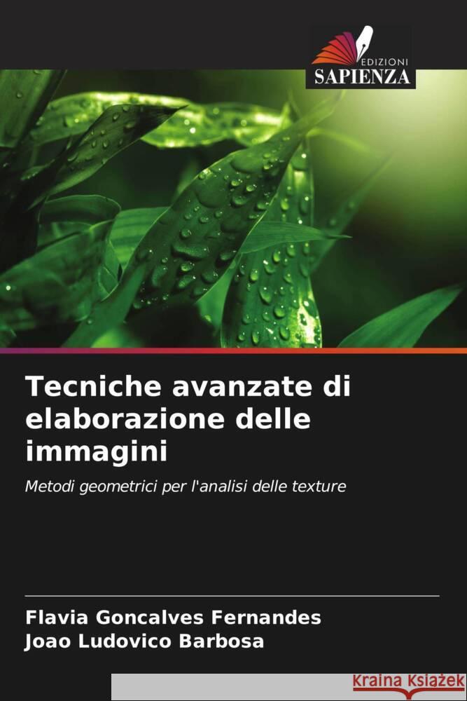 Tecniche avanzate di elaborazione delle immagini Fl?via Gon?alves Fernandes Jo?o Ludovico Barbosa 9786207409051 Edizioni Sapienza