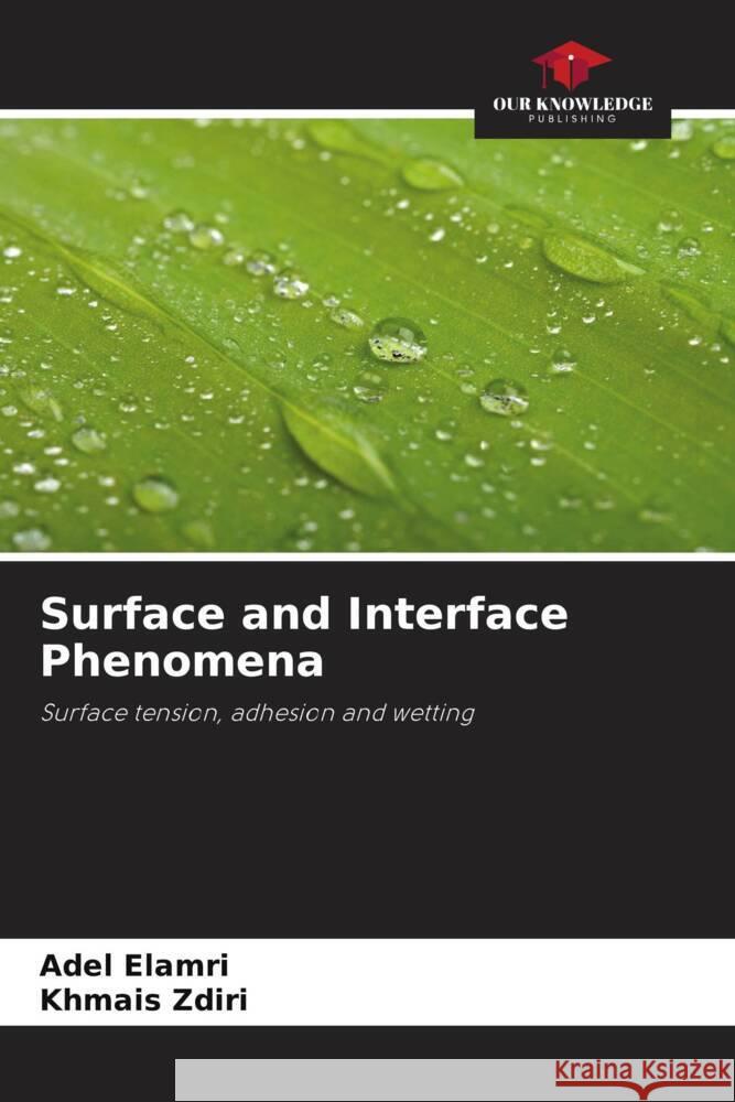 Surface and Interface Phenomena Adel Elamri Khmais Zdiri 9786207430840