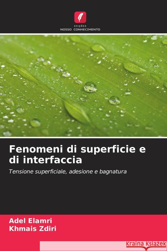 Fenomeni di superficie e di interfaccia Adel Elamri Khmais Zdiri 9786207430871