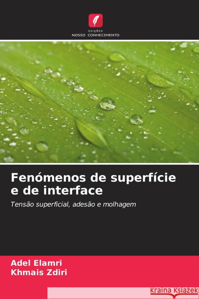 Fen?menos de superf?cie e de interface Adel Elamri Khmais Zdiri 9786207430918