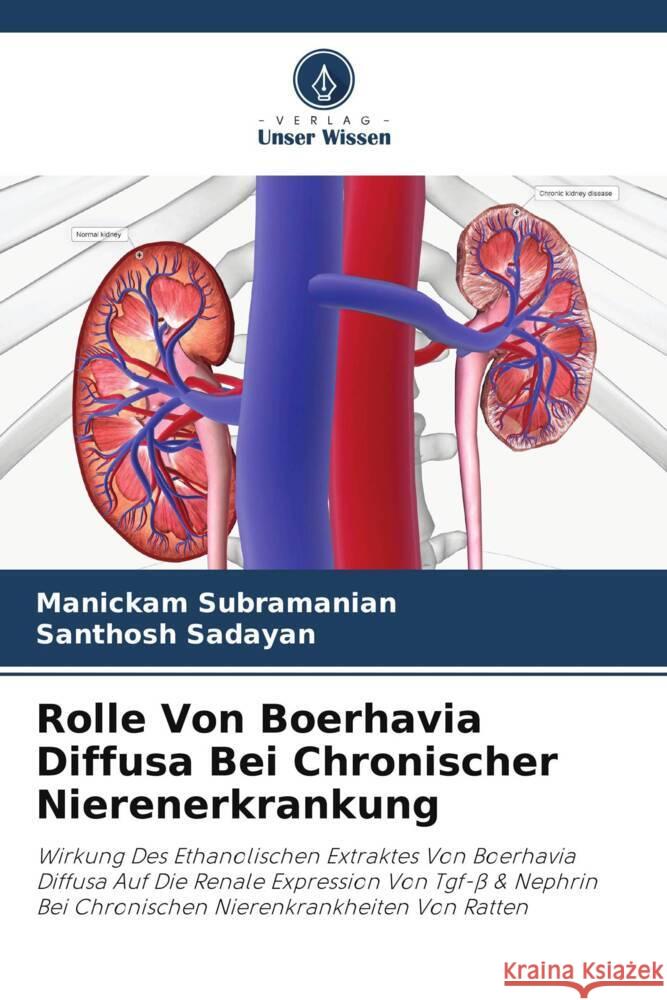 Rolle Von Boerhavia Diffusa Bei Chronischer Nierenerkrankung Manickam Subramanian Santhosh Sadayan 9786207431687