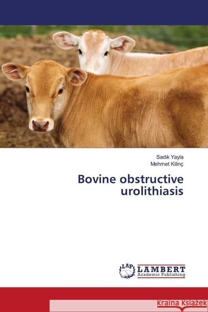 Bovine obstructive urolithiasis Sadık Yayla Mehmet Kilinc 9786207452323 LAP Lambert Academic Publishing