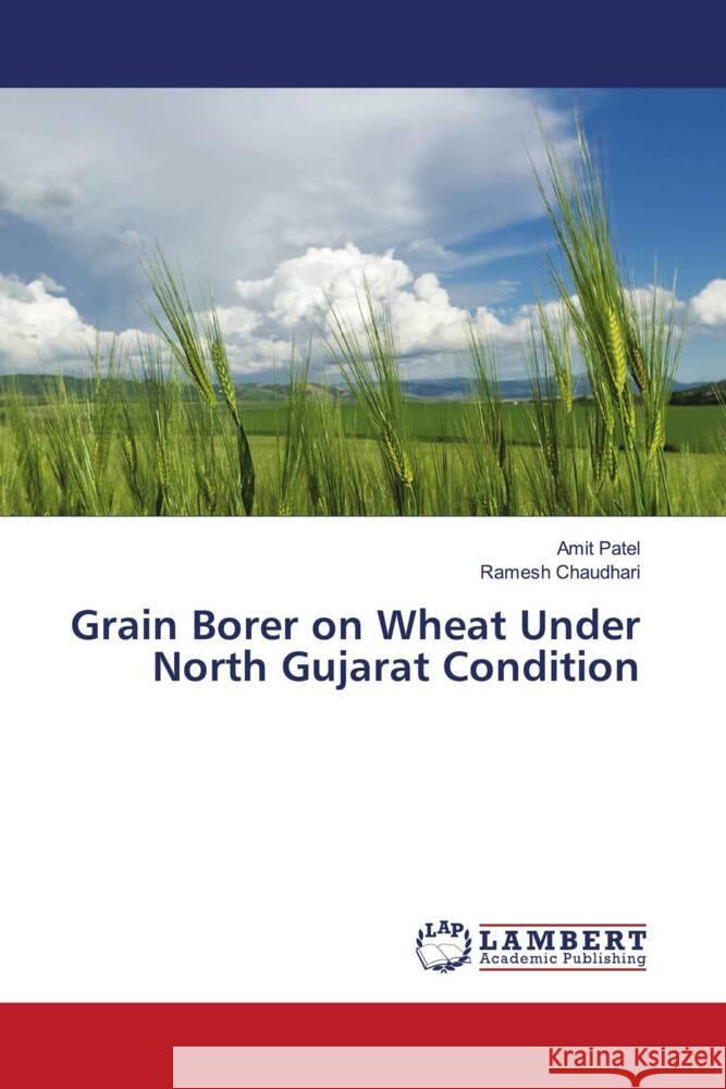 Grain Borer on Wheat Under North Gujarat Condition Amit Patel Ramesh Chaudhari 9786207461165