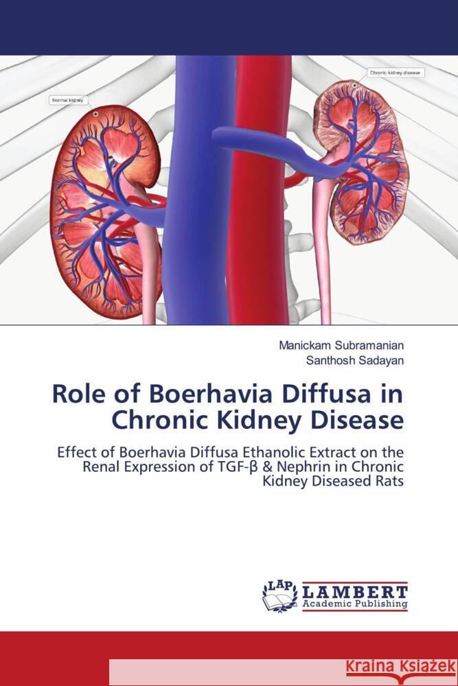 Role of Boerhavia Diffusa in Chronic Kidney Disease Manickam Subramanian Santhosh Sadayan 9786207477470