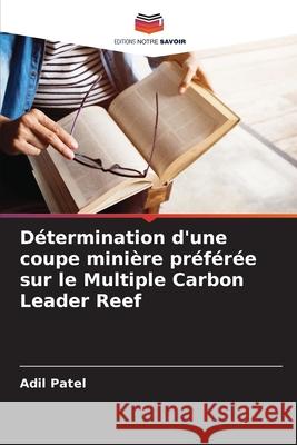 Détermination d'une coupe minière préférée sur le Multiple Carbon Leader Reef Patel, Adil 9786207481019 Editions Notre Savoir