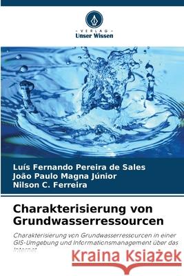 Charakterisierung von Grundwasserressourcen Pereira de Sales, Luís Fernando, Magna Júnior, João Paulo, Ferreira, Nilson C. 9786207481224