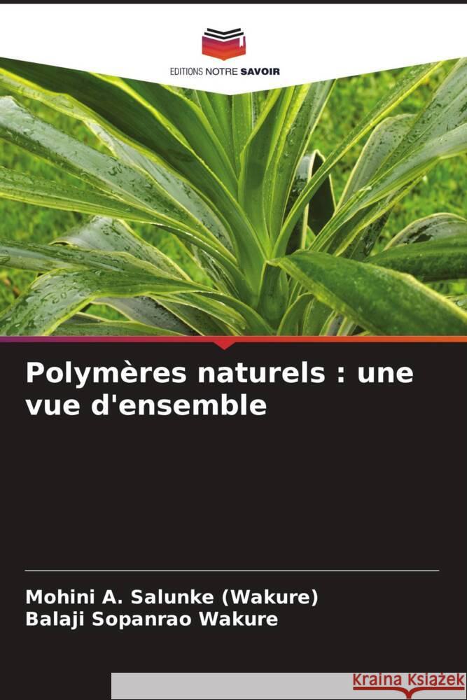 Polym?res naturels: une vue d'ensemble Mohini A. Salunk Balaji Sopanrao Wakure 9786207506071