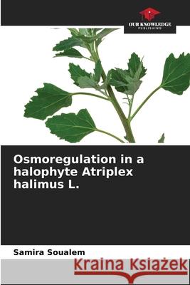 Osmoregulation in a halophyte Atriplex halimus L. Samira Soualem 9786207525546