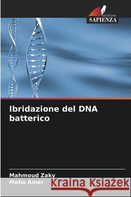 Ibridazione del DNA batterico Mahmoud Zaky Maha Amer 9786207536009 Edizioni Sapienza