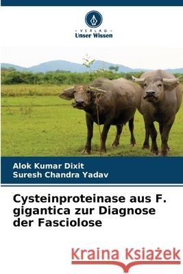 Cysteinproteinase aus F. gigantica zur Diagnose der Fasciolose Alok Kumar Dixit Suresh Chandra Yadav 9786207551491 Verlag Unser Wissen