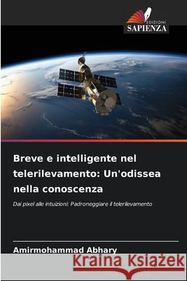 Breve e intelligente nel telerilevamento: Un'odissea nella conoscenza Amirmohammad Abhary 9786207582303