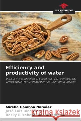 Efficiency and productivity of water Mirella Gambo Jos? Luis R?o Becky Elizabeth R?o 9786207675357 Our Knowledge Publishing